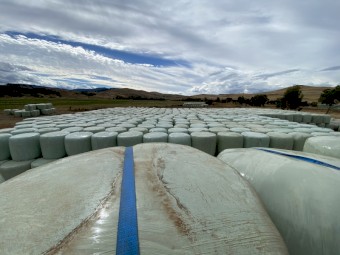 Lucerne Silage STATEWIDE DELIVERY