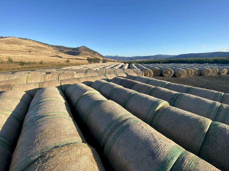 5x4 Grass Hay Bales, STATEWIDE DELIVERY INCLUDED