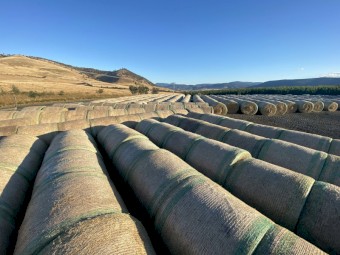 5x4 Grass Hay Bales, STATEWIDE DELIVERY INCLUDED