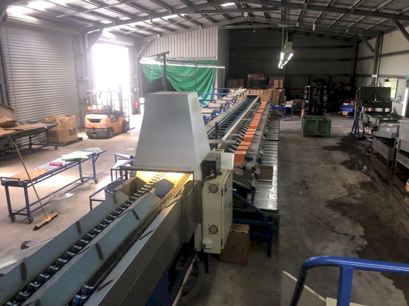 Fruit Grader - 2 Lane Colorvision