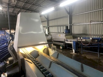 Fruit Grader - 2 Lane Colorvision