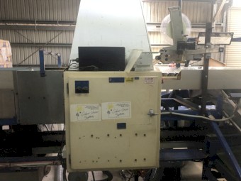 Fruit Grader - 2 Lane Colorvision