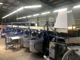 Fruit Grader - 2 Lane Colorvision