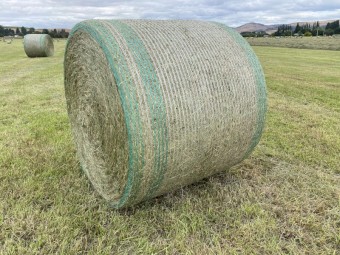 5x4 Grass Hay Bales, STATEWIDE DELIVERY INCLUDED