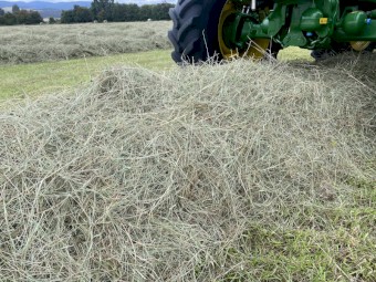 5x4 Grass Hay Bales, STATEWIDE DELIVERY INCLUDED