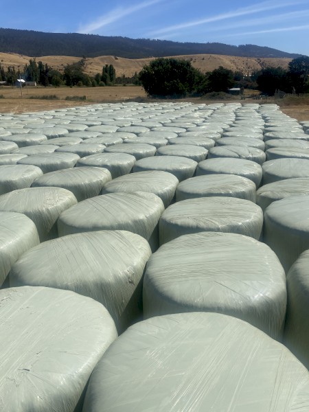 Last season barley silage bales, STATEWIDE DELIVERY