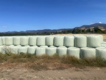 Last season barley silage bales, STATEWIDE DELIVERY
