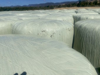 Last season barley silage bales, STATEWIDE DELIVERY