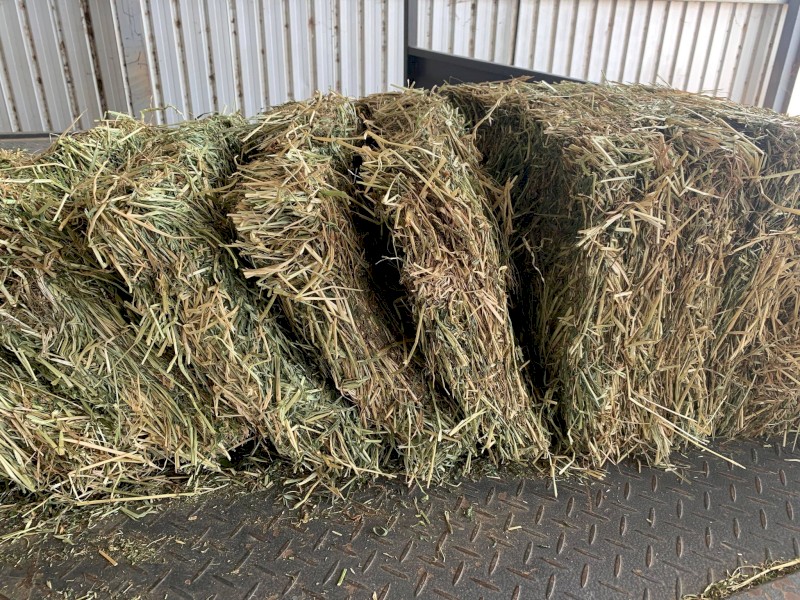 25/75 Lucerne and Pasture Small Squares 