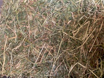 25/75 Lucerne and Pasture Small Squares 