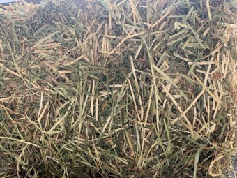 25/75 Lucerne and Pasture Small Squares 