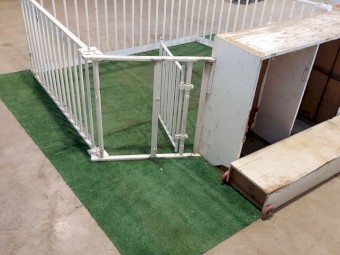 Professional Ram Selling Pen