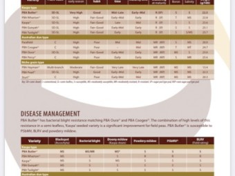 PBA Butler field peas for sale