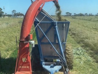 Taarup 602B Silage Chopper