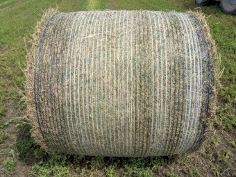 Lucerne Hay - 4x4 Rounds
