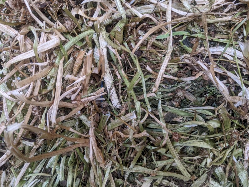 Shaftal Clover Hay - 4x4 Rounds