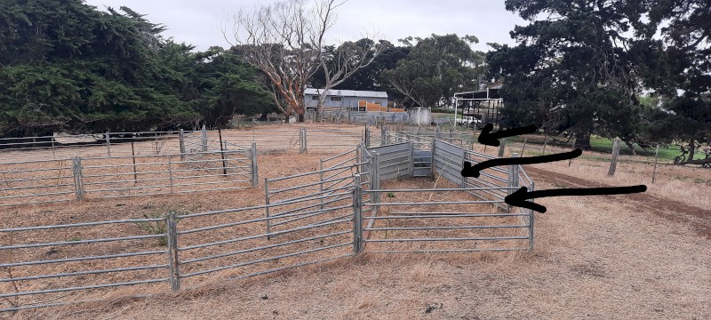 Arrow Semi Permanent Sheep Yards