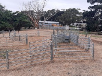 Arrow Semi Permanent Sheep Yards