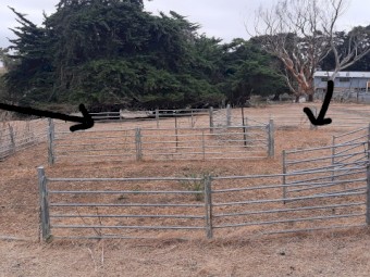 Arrow Semi Permanent Sheep Yards