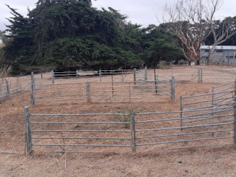 Arrow Semi Permanent Sheep Yards