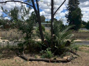 House on Double Tittle Residential