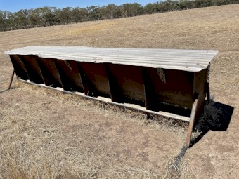 Sheep Grain Feeder 
