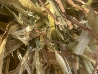 28mt Oaten Hay 600kg 8x4x3 Bales (2020)