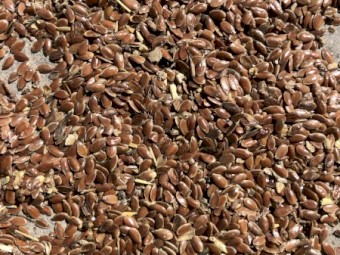 Linseed