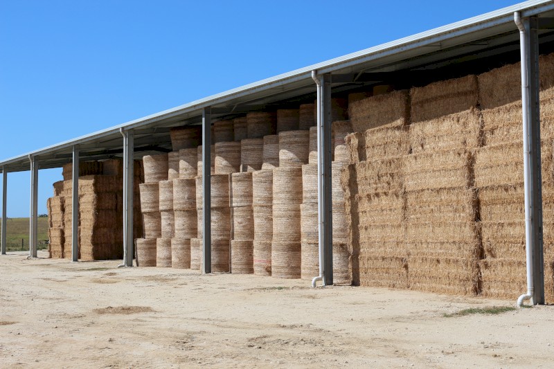 Lucerne Hay Round Bales - Shedded