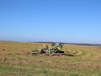 Lucerne Hay Round Bales - Shedded