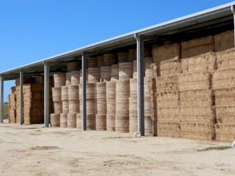 Lucerne Hay Large Square Bales - Shedded