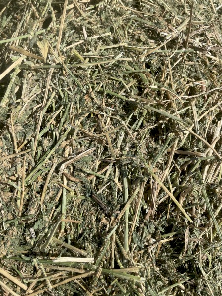 Lucerne Hay 8x4x3 Bales