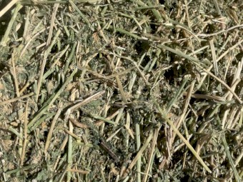 Lucerne Hay 8x4x3 Bales