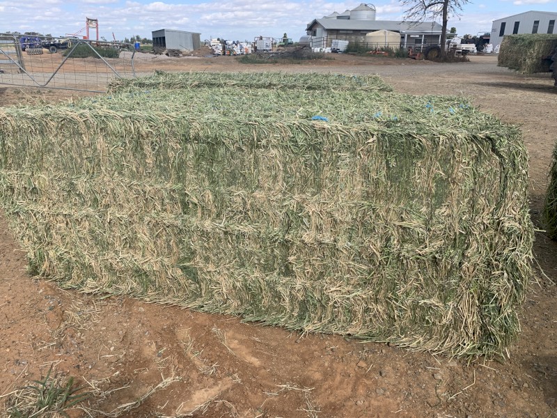 30mt Lucerne Hay 613kg 8x4x3 Bales (B-Grade Q31)