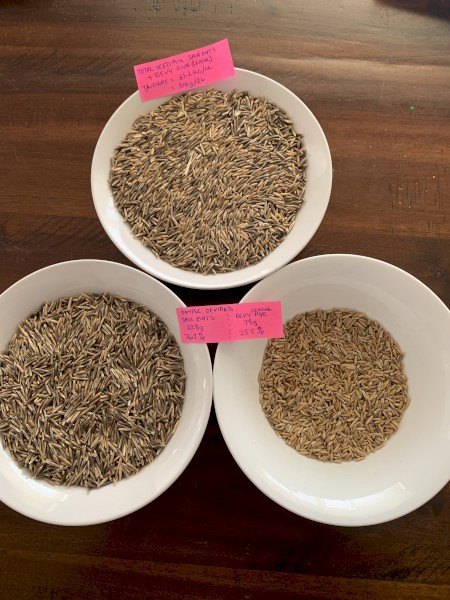 5T Saia Oats/ Rye mix, Grazing