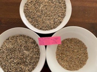 5T Saia Oats/ Rye mix, Grazing