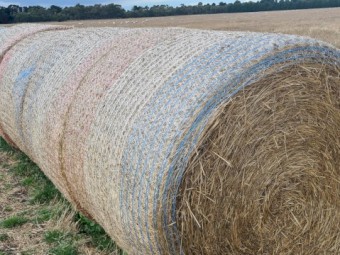 Ryegrass Straw
