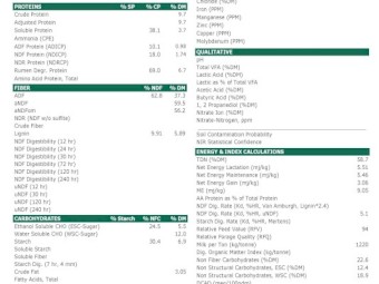 Oaten & Rye 8x4x3 Bales