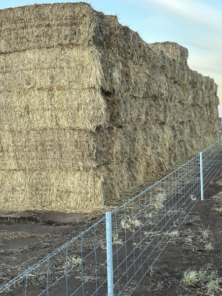 Ryegrass Hay 8x4x3 Bales
