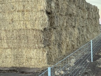 Ryegrass Hay 8x4x3 Bales