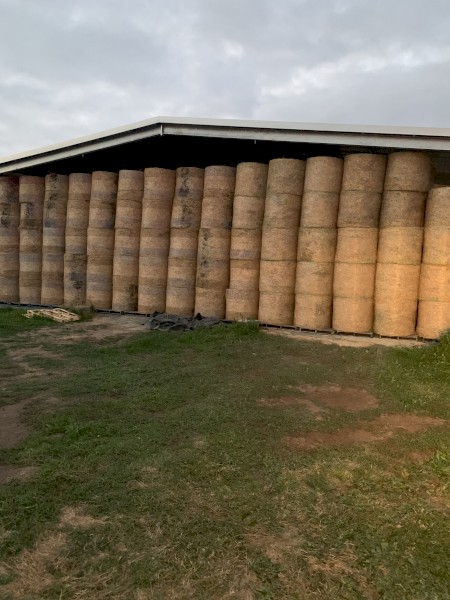 Lucerne/Ryegrass Mix