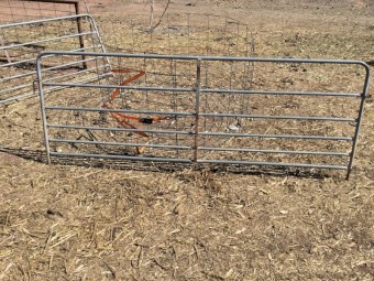 Portable Sheep Yards
