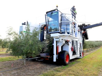 Colossus XL Olive Harvester