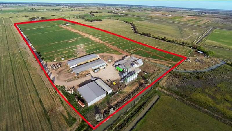 Northern Valley Stock feeds