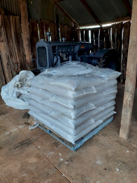 New season STINGRAY canola seed