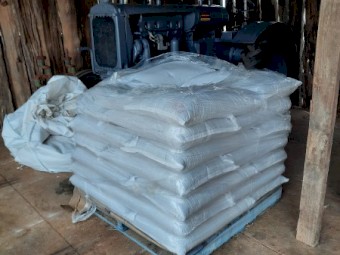 New season STINGRAY canola seed