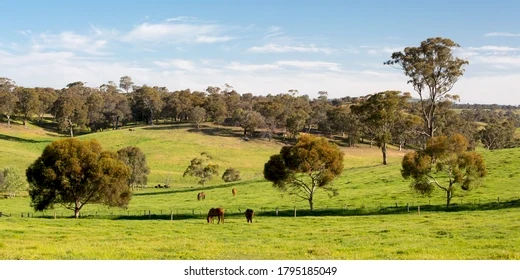 WANTED Small Acreage