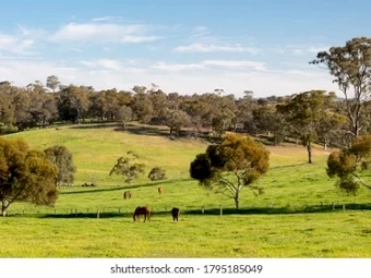 WANTED Small Acreage