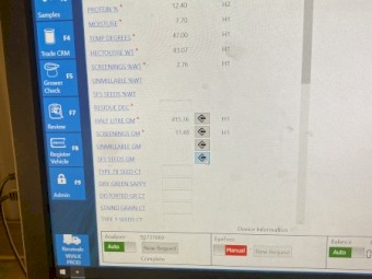 Organic Scepter Wheat