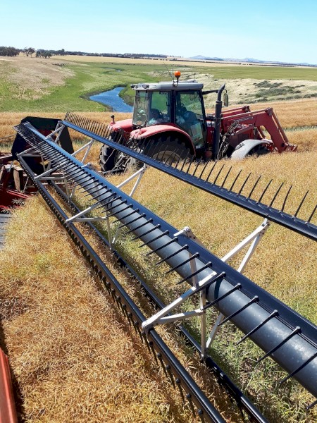 Case IH 8220 - 25ft PTO Windrower